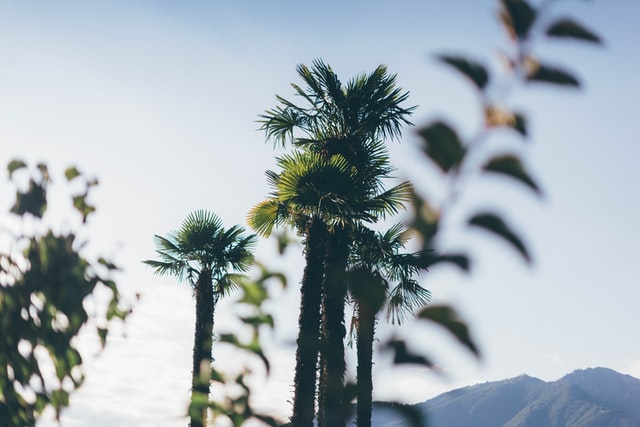 fabian enzensperger JPvJrNqtzJU unsplash